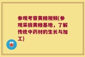 参观考察黄精视频(参观采摘黄精基地，了解传统中药材的生长与加工)