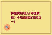 种植黄精收入(种植黄精：小地主的致富路之一)