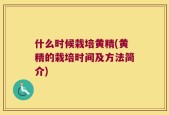 什么时候栽培黄精(黄精的栽培时间及方法简介)