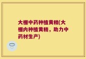 大棚中药种植黄精(大棚内种植黄精，助力中药材生产)