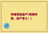 种植黄精亩产(黄精种植，亩产喜人！)
