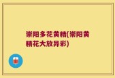 崇阳多花黄精(崇阳黄精花大放异彩)