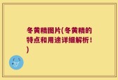 冬黄精图片(冬黄精的特点和用途详细解析！)