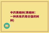 中药黄精树(黄精树：一种具有药用价值的树种)