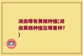 湖南哪有黄精种植(湖南黄精种植在哪里种？)
