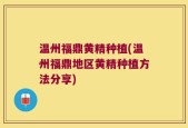 温州福鼎黄精种植(温州福鼎地区黄精种植方法分享)