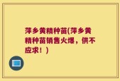 萍乡黄精种苗(萍乡黄精种苗销售火爆，供不应求！)