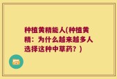种植黄精能人(种植黄精：为什么越来越多人选择这种中草药？)