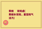 黄精    肾阳虚(黄精补肾阳，重塑阳气活力)