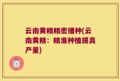 云南黄精精密播种(云南黄精：精准种植提高产量)