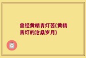 曾经黄精青灯苦(黄精青灯的沧桑岁月)