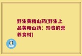 野生黄精山药(野生上品黄精山药：珍贵的营养食材)