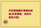 中药黄精图片黄精的用途(药用黄精：功效与用途介绍)