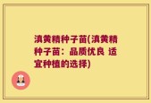 滇黄精种子苗(滇黄精种子苗：品质优良 适宜种植的选择)