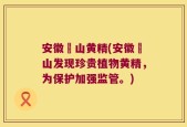 安徽矷山黄精(安徽矷山发现珍贵植物黄精，为保护加强监管。)