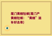 厦门黄精牡蛎(厦门产黄精牡蛎：“黄精”滋补好去寒)