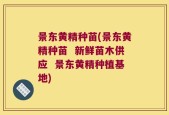 景东黄精种苗(景东黄精种苗  新鲜苗木供应  景东黄精种植基地)