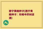 西宁黄精种子(西宁黄精种子：珍稀中药材资源)