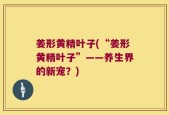 姜形黄精叶子(“姜形黄精叶子”——养生界的新宠？)