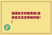 福建能否种植黄精(福建是否适宜黄精种植？)