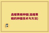 鑫耀黄精种植(鑫耀黄精的种植技术与方法)