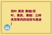 荷叶 黄芪 黄精(荷叶、黄芪、黄精：三种天然草药的功效与用途)