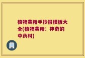 植物黄精手抄报模板大全(植物黄精：神奇的中药材)