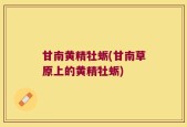 甘南黄精牡蛎(甘南草原上的黄精牡蛎)