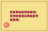 凯里黄精苗种植基地(贵州凯里建设黄精苗种植基地)