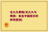 毛九九黄精(毛九九与黄精：来自中国南方的神奇搭档)