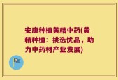 安康种植黄精中药(黄精种植：挑选优品，助力中药材产业发展)