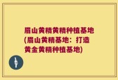 眉山黄精黄精种植基地(眉山黄精基地：打造黄金黄精种植基地)