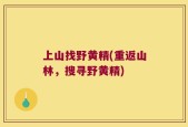 上山找野黄精(重返山林，搜寻野黄精)