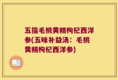 五指毛桃黄精枸杞西洋参(五味补益汤：毛桃黄精枸杞西洋参)