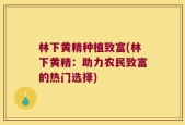 林下黄精种植致富(林下黄精：助力农民致富的热门选择)