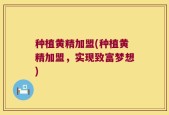 种植黄精加盟(种植黄精加盟，实现致富梦想)