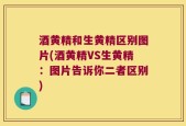 酒黄精和生黄精区别图片(酒黄精VS生黄精：图片告诉你二者区别)