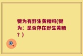 犍为有野生黄精吗(犍为：是否存在野生黄精？)