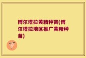 博尔塔拉黄精种苗(博尔塔拉地区推广黄精种苗)