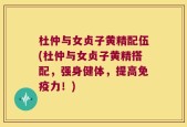 杜仲与女贞子黄精配伍(杜仲与女贞子黄精搭配，强身健体，提高免疫力！)