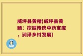 威坪县黄精(威坪县黄精：挖掘传统中药宝库，润泽乡村发展)