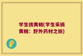 学生拔黄精(学生采摘黄精：野外药材之旅)