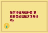 如何培植黄精种苗(黄精种苗的培植方法及技巧)