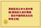 恩阳区关公乡九龙村黄精(恩阳区九龙村黄精：探访中国传统文化的神奇之地)