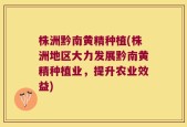 株洲黔南黄精种植(株洲地区大力发展黔南黄精种植业，提升农业效益)