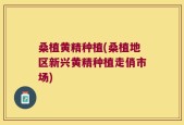 桑植黄精种植(桑植地区新兴黄精种植走俏市场)