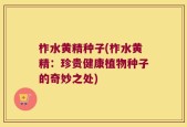 柞水黄精种子(柞水黄精：珍贵健康植物种子的奇妙之处)