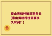 泰山黄精种植周期多长(泰山黄精种植需要多久时间？)