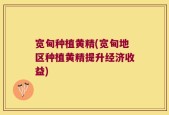宽甸种植黄精(宽甸地区种植黄精提升经济收益)
