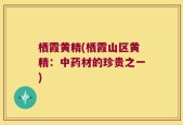 栖霞黄精(栖霞山区黄精：中药材的珍贵之一)